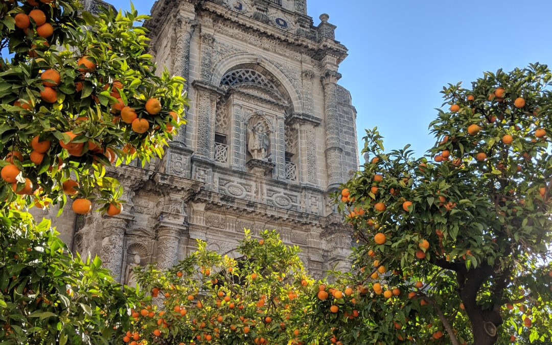 Un Día en Jerez de la Frontera: Cultura y Tradición Andaluza para Aficionados al Glamping