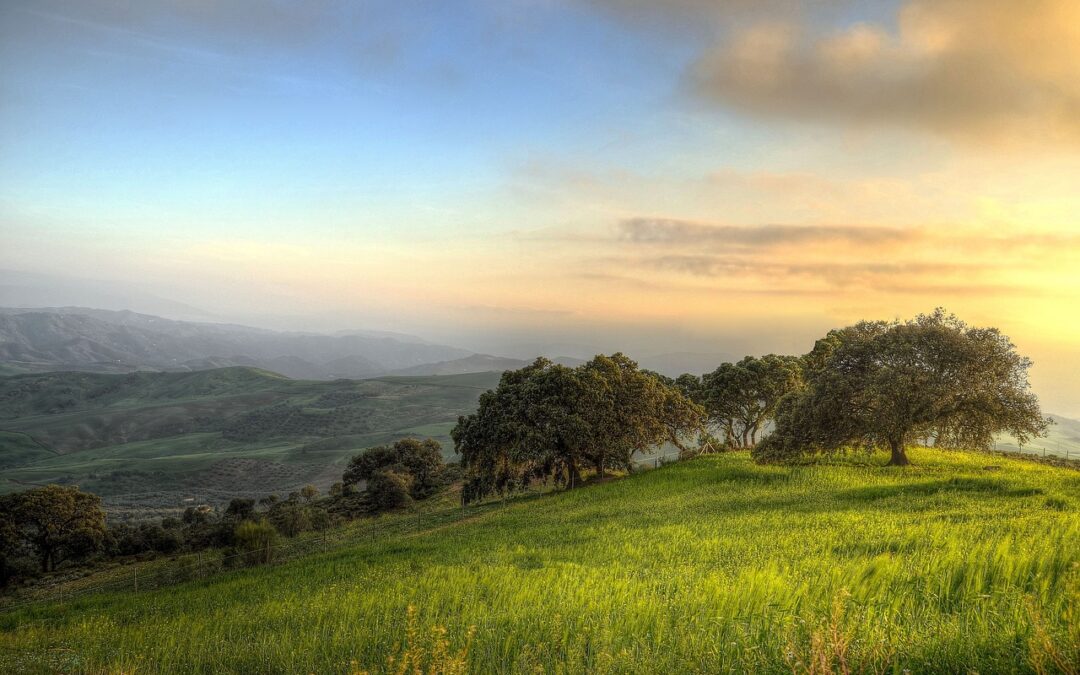 Abraza el Espíritu de Andalucía: Aventuras Inspiradoras para los Entusiastas del Glamping